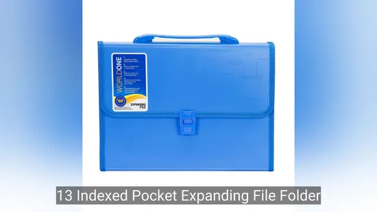 Organizer PP File Folder with Handle and Buckle Closer with 13transparent Leaves