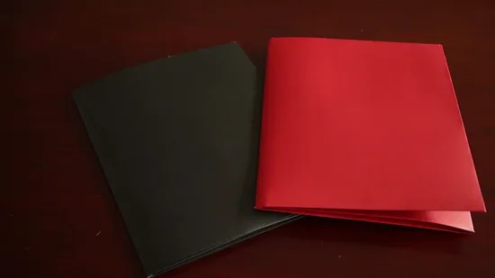 Cardboard File Folder of Document File Folder PP File Folder