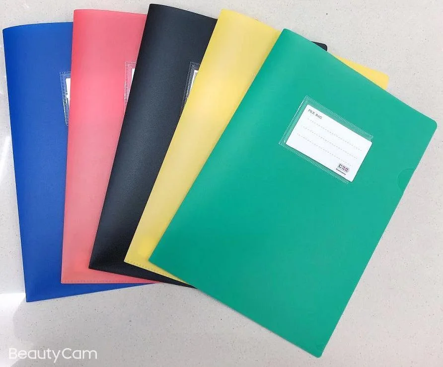 Wholesale PP A4 Color Transparent L-Shaped Folder with Custom Business Card Slots