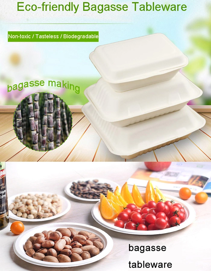 Disposable Biodegradable Sugarcane Bagasse Pulp Paper Food Packaging Container Box