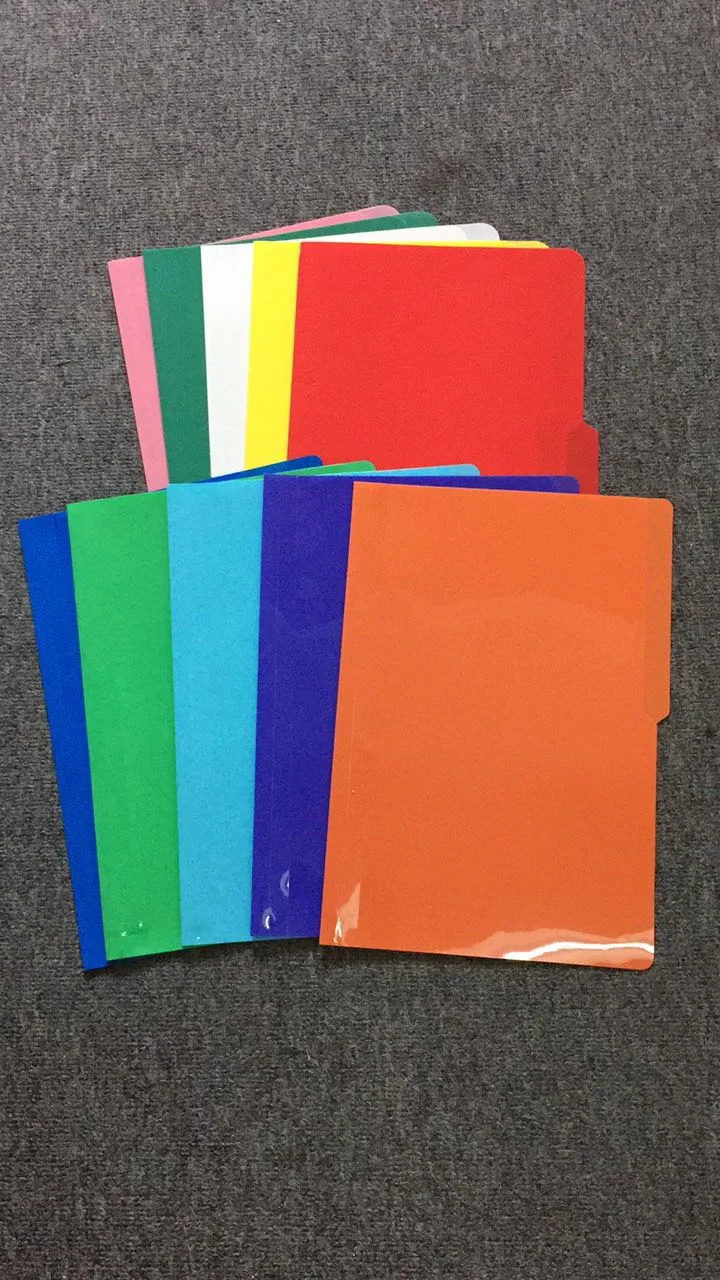 PP Plastic L Shape File Folder for A4