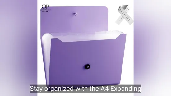 Factory Customized High Quality Storage PP Material File Folder, Expanding File Folder 