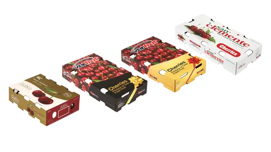 FSC Custom Printed Corrugated Cardboard Be B C E Flute Cherry Cherries Citrus Pear Orange Apple Banana Fruit Vegetable Gift Packaging Packing Carton Box 