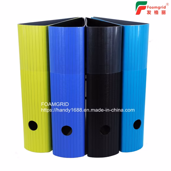 A4/FC PP Foam File Folder